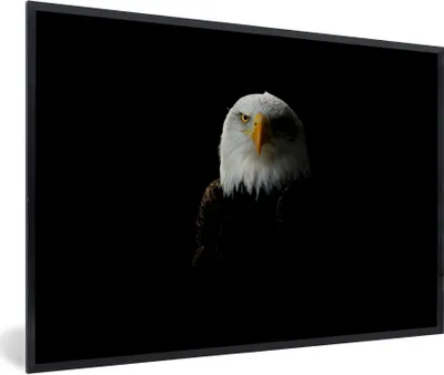 Produktbild von MuchoWow® Gerahmtes Poster Ein Porträt eines Weißkopfseeadlers 90x60 cm - Poster mit Schwarzem Bilderrahmen Wandposter Rahmen Foto Bilder - Fotorahmen - Foto-Plakat