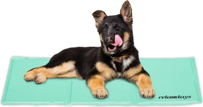 Produktbild von relaxdays Türkise Kühlmatte für Hunde