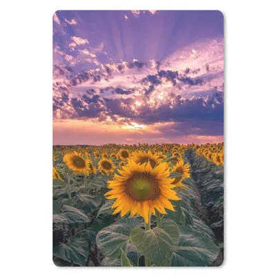 Produktbild von MuchoWow® Mauspad Mousepad Blumen - Himmel - Lila - Sonnenuntergang 18x27 cm - Mousepads - Maus Mat - Pad - Mausunterlage