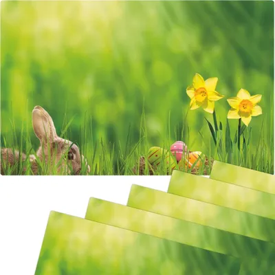 Immagine prodotto di Set di 6 tovagliette lavabili con fiori di Pasqua narcisi