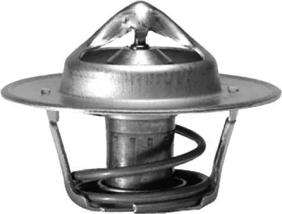 Immagine prodotto di Termostato, refrigerante