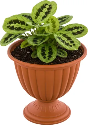 Obrázek produktu pro Květináč na nožce kulatý Ø 26 cm H 28 cm terakota plast