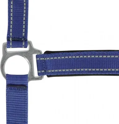 Produktbild von Norton Equestrian Reflective Halfter Blau Cob Blau Cob