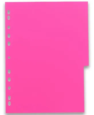 Immagine prodotto di Oxford Register myColour A4 PP-Stärke 300 my 12 Blatt