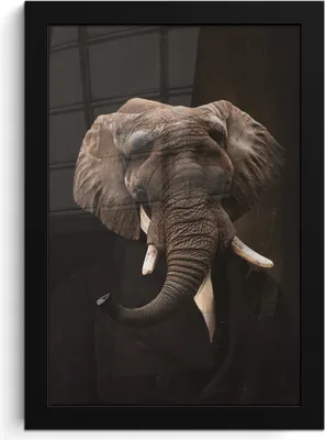 Produktbild von MuchoWow® MuchoWow® Gerahmtes Poster Alte Meister - Elefant - Tiere 20x30 cm - Poster mit zchwarzem Bilderrahmen - Drucken - Bilder Poster im Rahmen