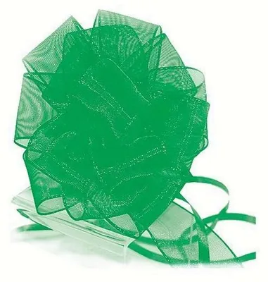 Produktbild von Ziehschleife Rapid, grasgrün 10er Box Ø 13 cm