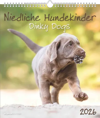 Produktbild von Alpha Edition - Niedliche Hundekinder Kalender 2026 - Wandkalender 30×34 cm mit 12 Welpenmotiven & 4-sprachigem Kalendarium, Tierkalender mit Spiralbindung, perfektes Geschenk für Hundefreunde