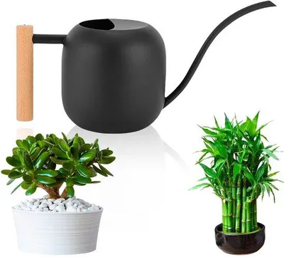 Productafbeelding van Ibenzoa® gieter, 1,2 liter – roestvrij staal, lange tuit, zwart met houten handvat, 30 x 15 cm – Nauwkeurig water geven voor kamerplanten en bonsai