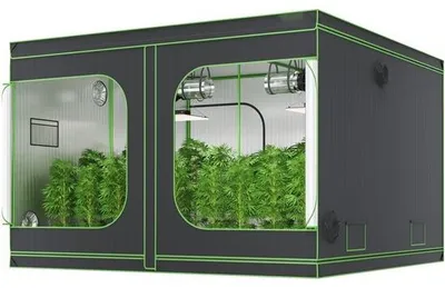 Obrázok produktu pre Growbox 305 x 305 x 203 cm - skleník s oceľovým rámom - 600D Oxford Growtent - nosnosť 60 kg - 400 W krytá pestovateľská skriňa - pestovateľský stan