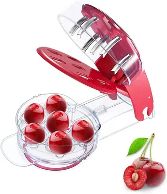 Kirsch- und Olivenentsteiner, Fruchtkernentferner, 6 Löcher
