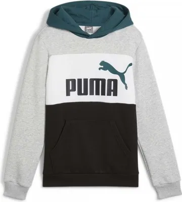Image de Sweat à capuche Puma 679717-04 pour Uni