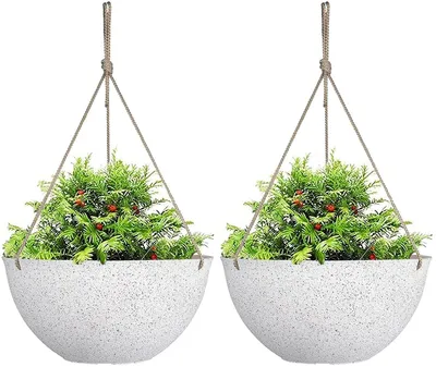 Image de 2 pots de fleurs suspendus avec trous de drainage