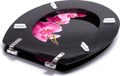 Produktbild von MSV 3700703947639, Verlängert, Harter Toilettensitz, Schwarz, Pink, MDF-Platten, 365 mm, 425 mm