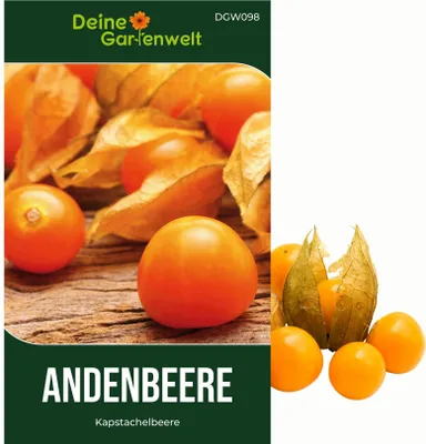A split image showing a close-up of physalis fruits on a wooden surface on the left, and a few physalis fruits on a white background on the right.