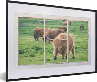Produktbild von MuchoWow® MuchoWow® Gerahmtes Poster Durchblick - Schottisches Hochlandrind - Tiere 60x40 cm - Poster mit zchwarzem Bilderrahmen - Schlafzimmer - Plakat in Rahmen - Drucken