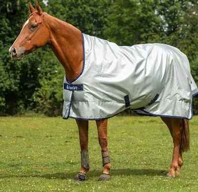 Zdjęcie produktu dla Bucas Outdoordecke 300g Power Turnout Extra High Neck Silver 135