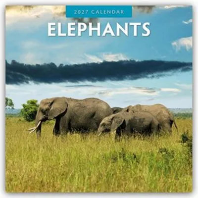Image de Éléphants - Calendrier de 16 mois, de 2027 à 2028