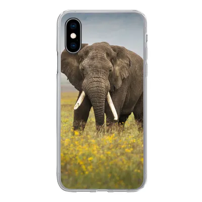 Produktbild von MuchoWow® Handyhülle Schutzhülle Hülle für iPhone X Elefant - Blumen - Gras - Tiere - Natur Silikon Softcase Handy Hülle - Handyhülle