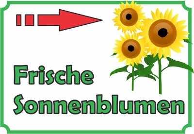 Produktbild von Sonnenblumen Verkaufsschild mit Pfeil rechts Hofladen Verkaufsförderung A5 (148x210mm)
