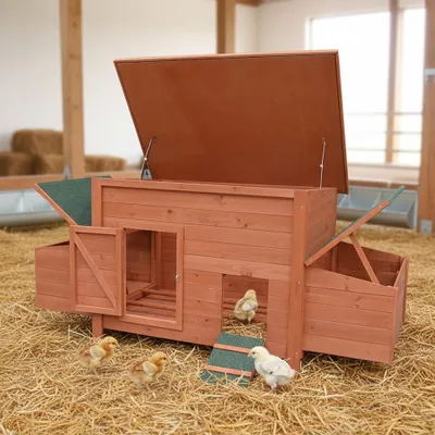 A wooden chicken coop with nesting boxes and a run, set on a bed of straw with several chicks around it.