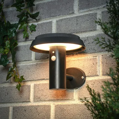 Produktbild von Solar Sensor-Wandleuchte Sophia CCT außen wetterfest EDELSTAHL schwarz 102940
