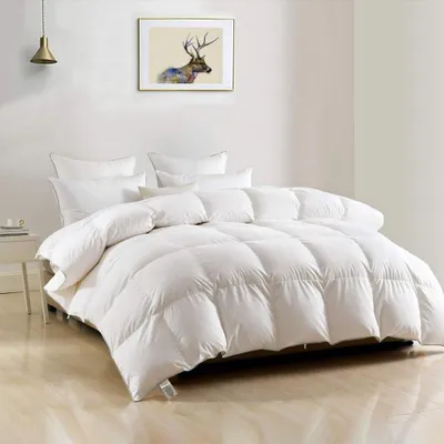 Produktbild von Daunendecke Winterdaunendecke 155x220 Gänsedaunen warm DWR