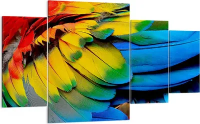 Produktbild von Bild auf Leinwand - Leinwandbild - Feder Papagei Vogel - 160x90cm - Wand Bild - Wanddeko - Leinwanddruck - Bilder - Kunstdruck - Wanddekoration - Leinwand bilder - Wandkunst - DL160x90-3428