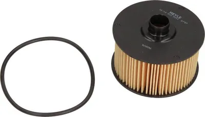 Zdjęcie produktu dla Filtr Oleju Dacia Dokker 0,9/1,2Tce 12-