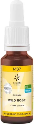 Obrázok produktu pre Bachove kvapky N°37 - Divoká ruža | Psia ruža 20ml