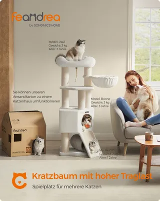 A woman is petting a dog on a couch next to a cat tree with cats on it. A cardboard box is also visible.