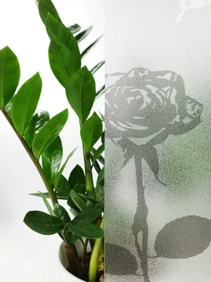 Produktbild von Statisch Fensterfolie 45x50 cm - Blumen - Statische Sichtschutzfolie ohne Kleber aus PVC - Selbsthaftende Glasfolie für Lichtdurchlass und Privatsphäre - Fensterfolie statisch haftend