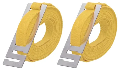 Bienenstockriemen 2 Stk., Polyester, 5 m, gelb