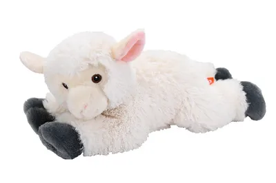 Produktbild von Wild Republic - Kuscheltier - Ecokins Medium - Lamm