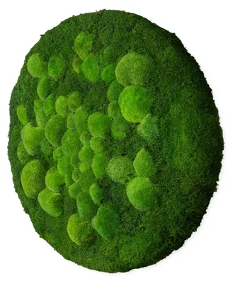 Produktbild von Rundes Moosbild Fifty Fifty Design (⌀30 cm, Origin)