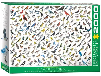 Produktbild von Eurographics 2000 Teile - Vogelwelt, 8220-0821, mehrfarbig