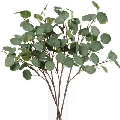 Künstliche Eukalyptuszweige, 4 Stk., 67 cm, realistisch