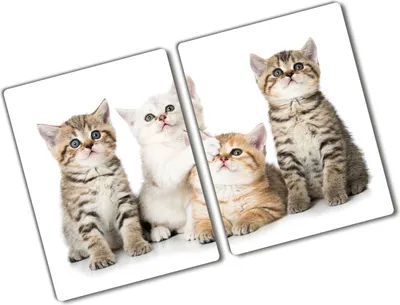 Produktbild von Tulup Glas Herdabdeckplatte - 2x40x52 cm - Glaskeramikkochfeld-Abdeckung Spritzschutz Glasabdeckplatte Kochplattenabdeckung und Schneidebrett - Zweiteilig - Tiere - Kleine Katzen - Braun