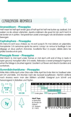 Produktbild von Gummibärchenblume Pineapples | Blumensamen von Hortitops