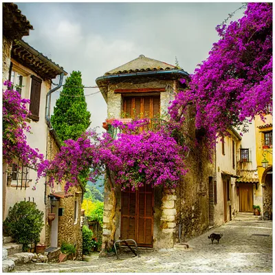 Produktbild von Wallario Premium Glasbild, freischwebende Optik, kräftige Farben, Größe 50 x 50 cm Motiv Malerische Stadt in der Provence mit bunten Blumen