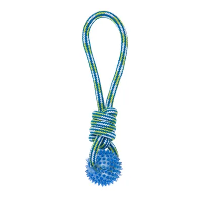 Produktbild von Have a Pet Spielzeug mit Ball, blau-grün 32cm