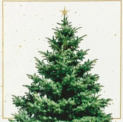 Produktbild von 20 Servietten Fir Tree - Festlicher Weihnachtsbaum 33x33cm