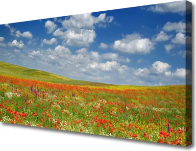 Produktbild von Tulup Leinwand-Bilder 100x50 Wandbild Canvas Kunstdruck Wiese Blumen Landschaft