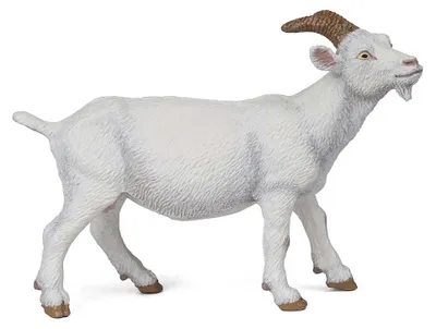 Produktbild von Papo Weiße Ziege, 3 Jahr(e), Farmyard friends, Weiß, PVC