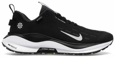 Productafbeelding van Nike ReactX Infinity Run 4 Gore-Tex, zwart - EU 42
