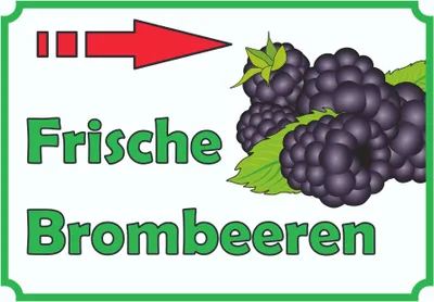 Produktbild von Verkaufsschild Schild Brombeeren rechts A6 Rückseite selbstklebend