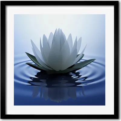 Produktbild von Bild - 50 cm x 50 cm - MDF - Rahmen, Wandkunst - Seerose