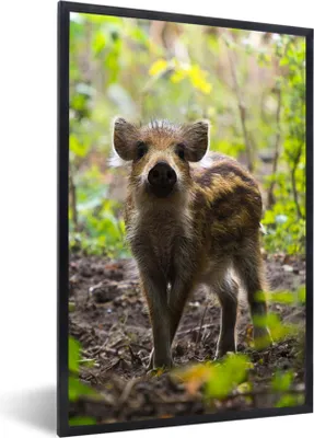 Produktbild von MuchoWow® Gerahmtes Poster Wildschwein - Wald - Tier 40x60 cm - Poster mit Schwarzem Bilderrahmen Wandposter Rahmen Foto Bilder - Papierdruck - Wandbilder