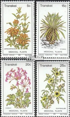 Produktbild von Briefmarken Südafrika - Transkei 1981 Mi 88-91 (kompl.Ausg.) gestempelt Arzneipflanzen