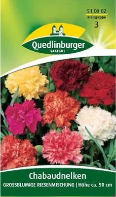 Produktbild von Quedlinburger Saatgut - Chabaud-Nelken Großblumige Mischung - Samen - 510002