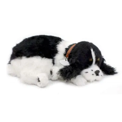 Produktbild von Perfect Petzzz 96422 Cocker Spaniel